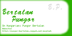 bertalan pungor business card